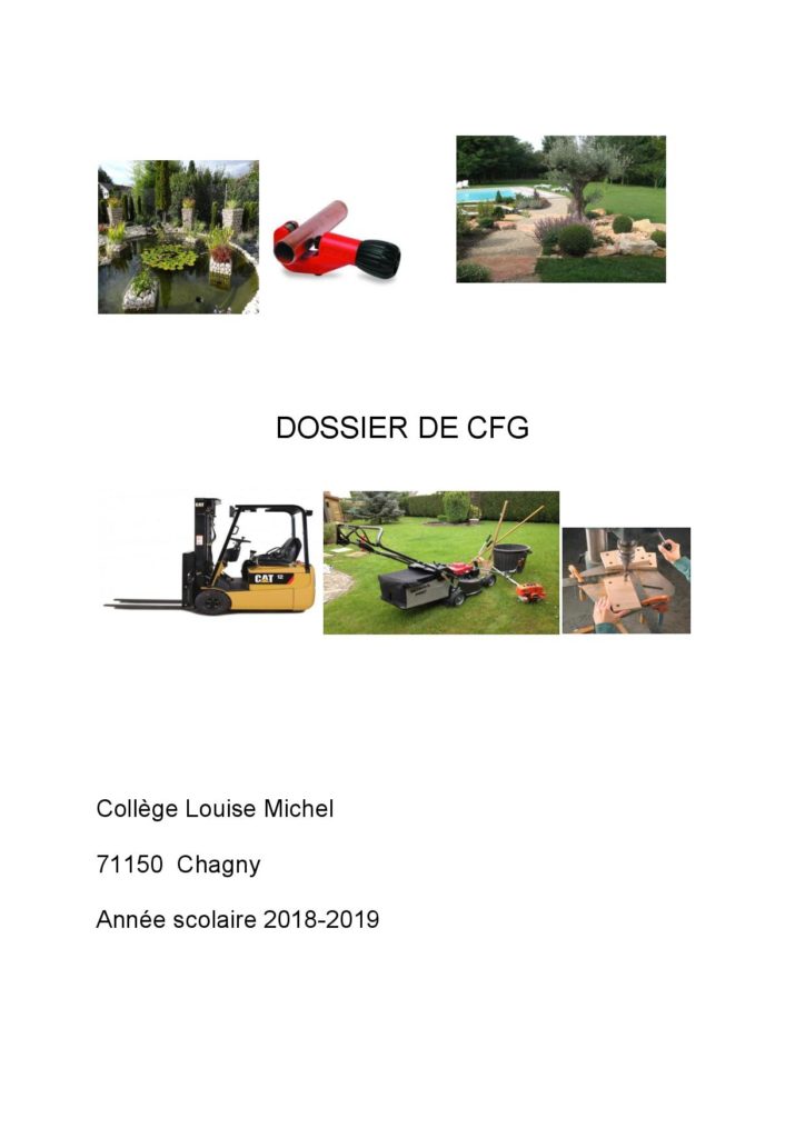 CFG 2019 dispositif ULIS collège Louise Michel Chagny